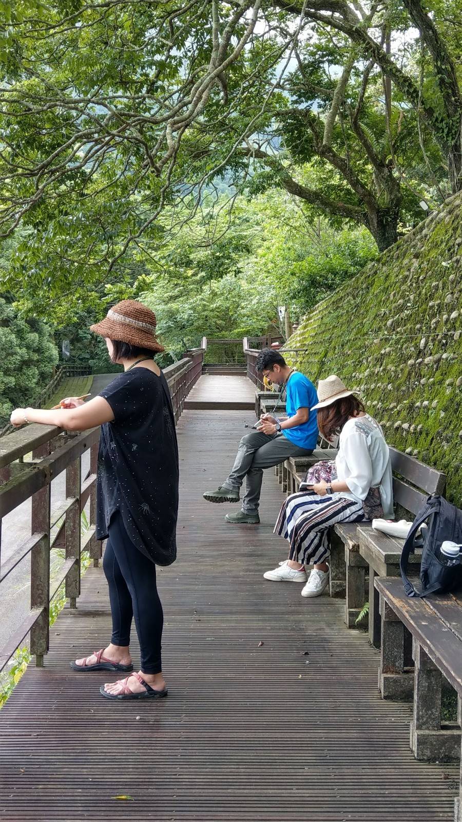森林秘境繪圖 (3)