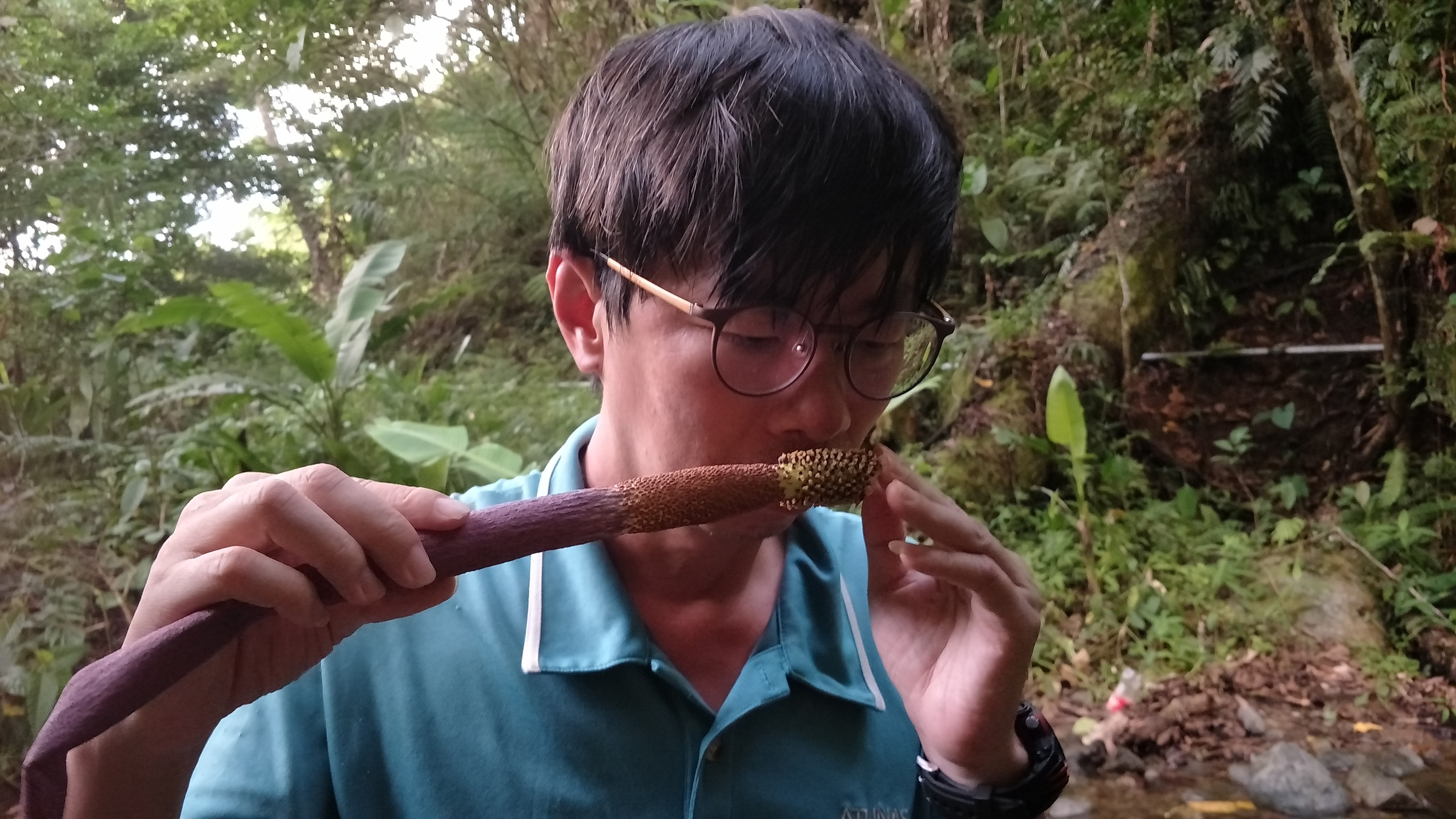 Adam採集行程 (5)