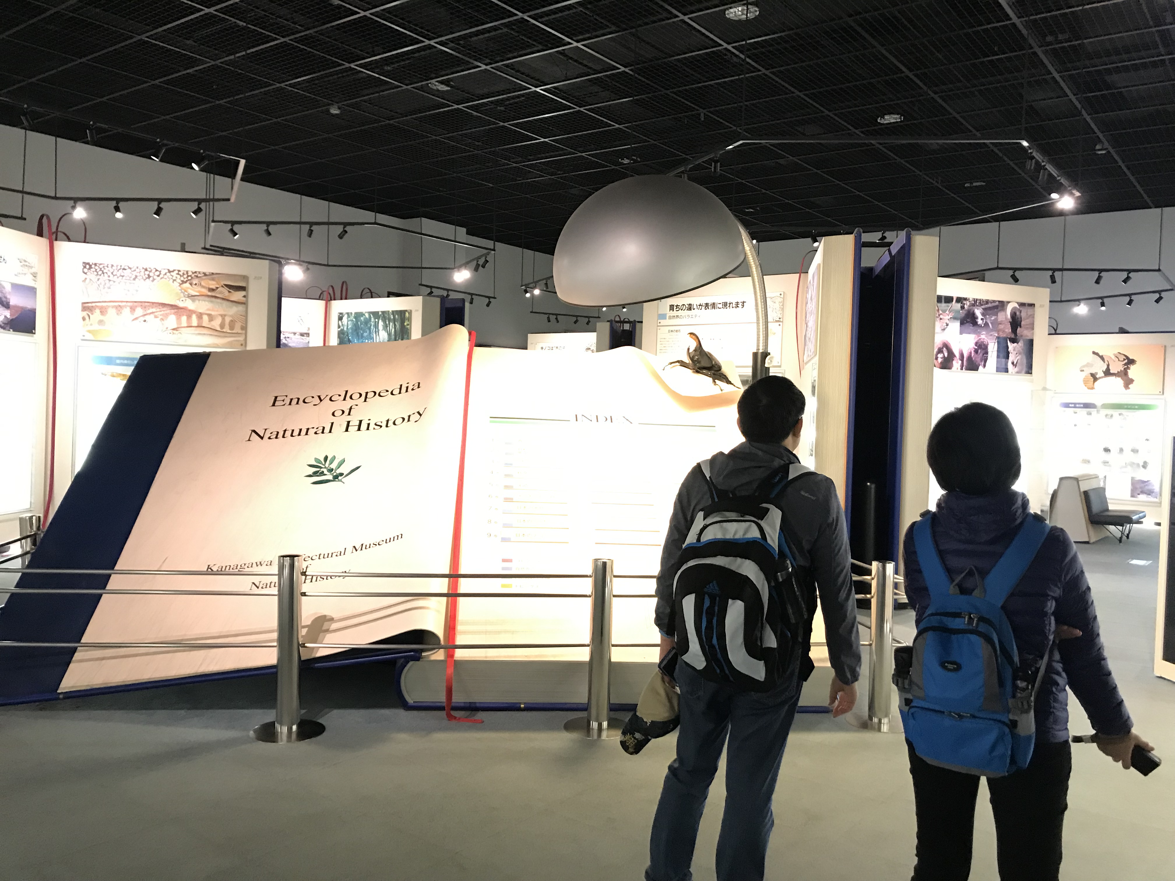 神奈川-生命之星地球博物館1