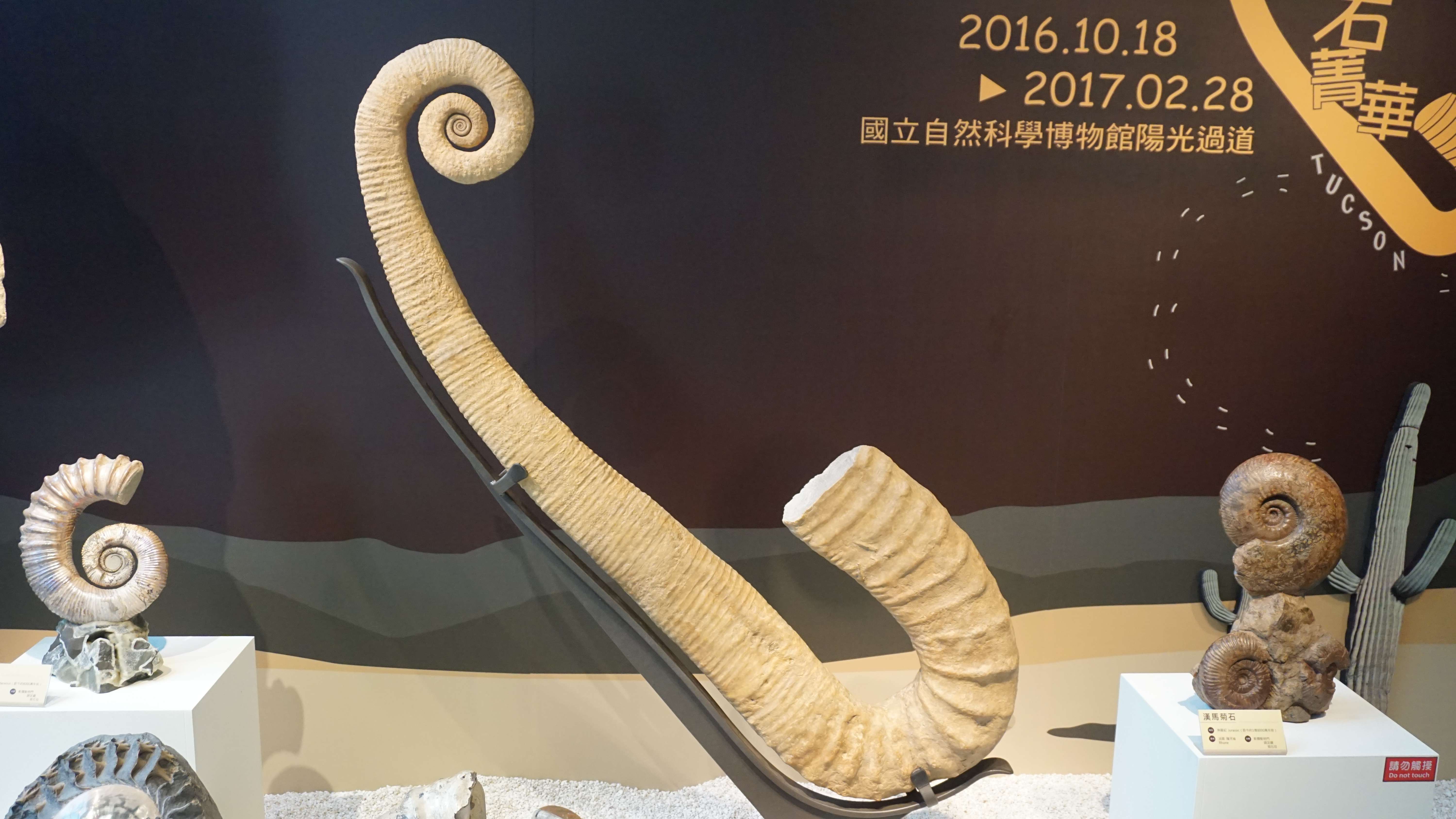 展區3