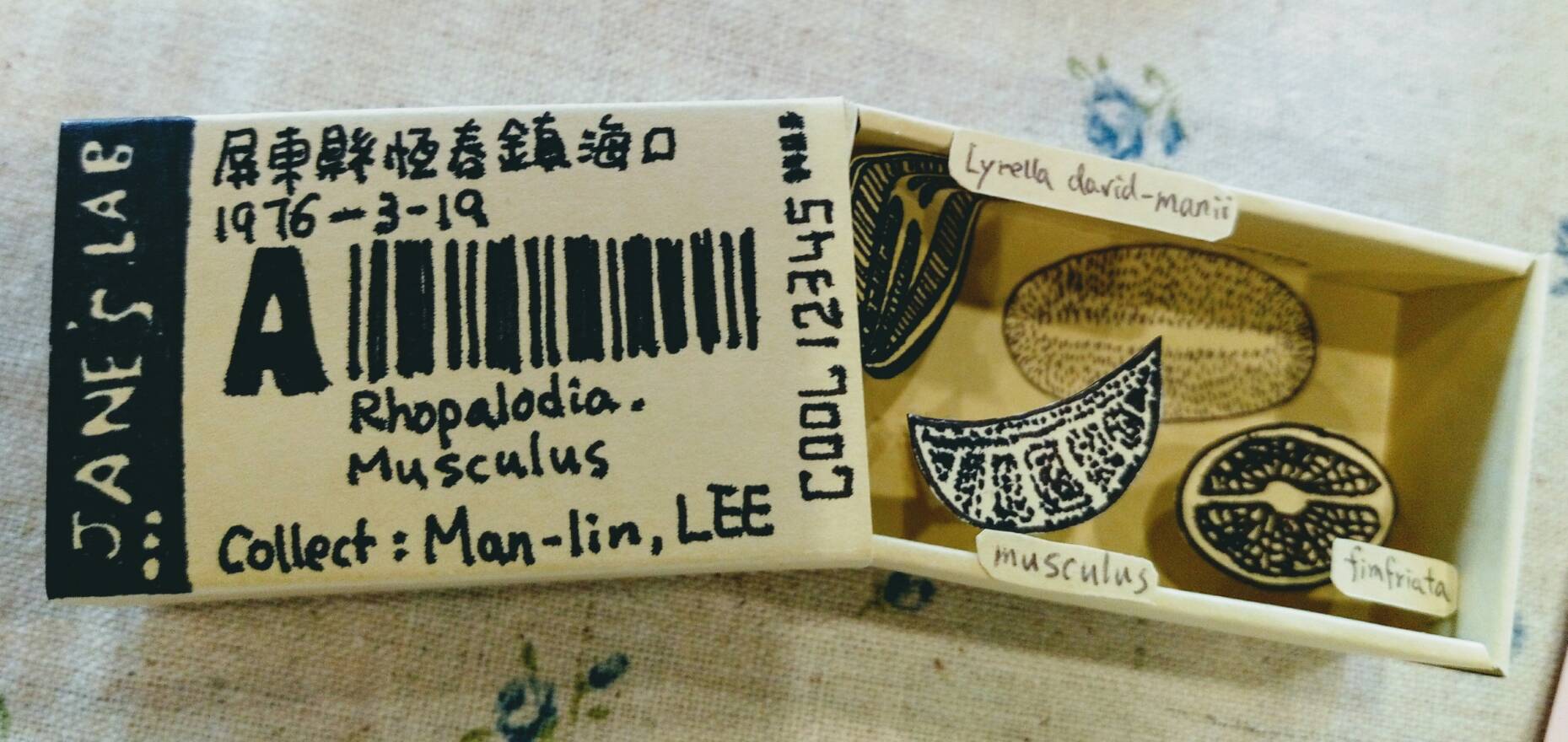 1火柴盒手作包 (1)