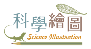 科學繪圖logo