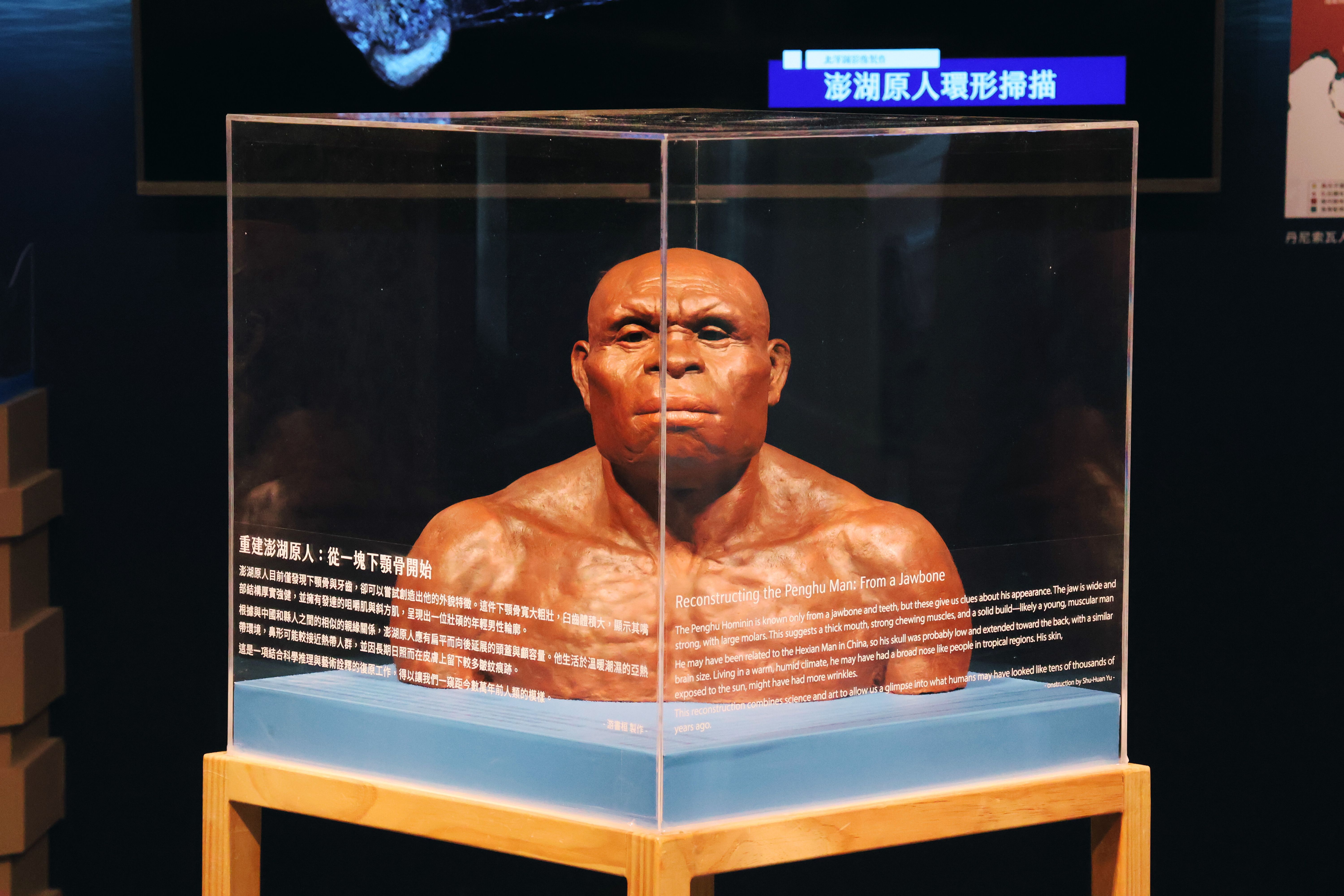 「丹尼索瓦人模型」由館內地質學組技術員游書桓精心塑造,耗時1個多月,創作過程以科學研究為基礎,融合雕塑藝術。圖片提供/國立自然科學博物館